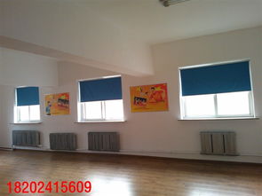 沈陽旺誠窗飾 電動卷簾，智能生活，品質(zhì)之選